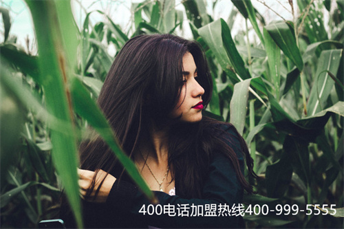 400電話費(fèi)用要具備那些（400電話申請(qǐng)收費(fèi)情況）